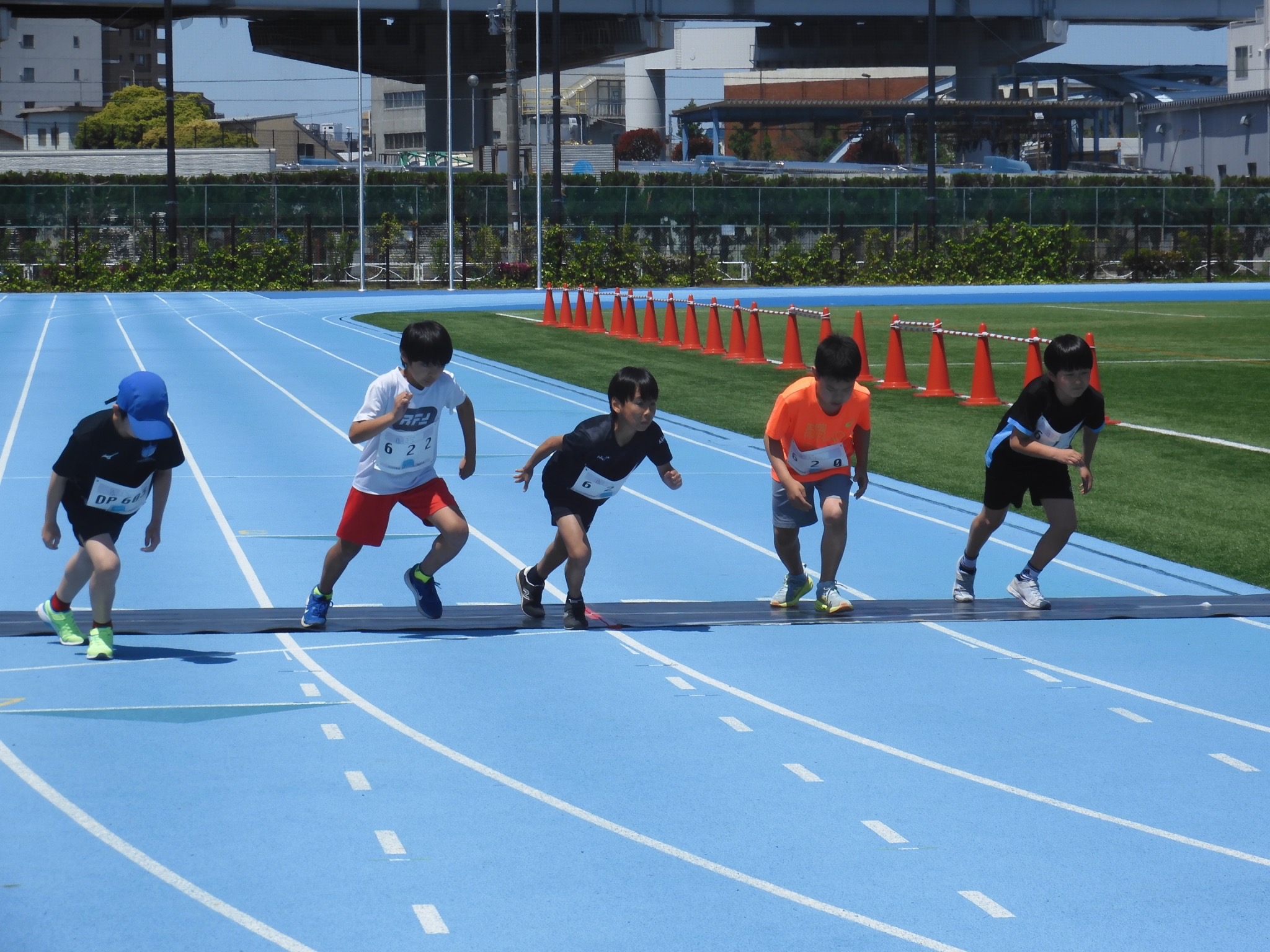 墨田区春季陸上競技大会が無事終了しました